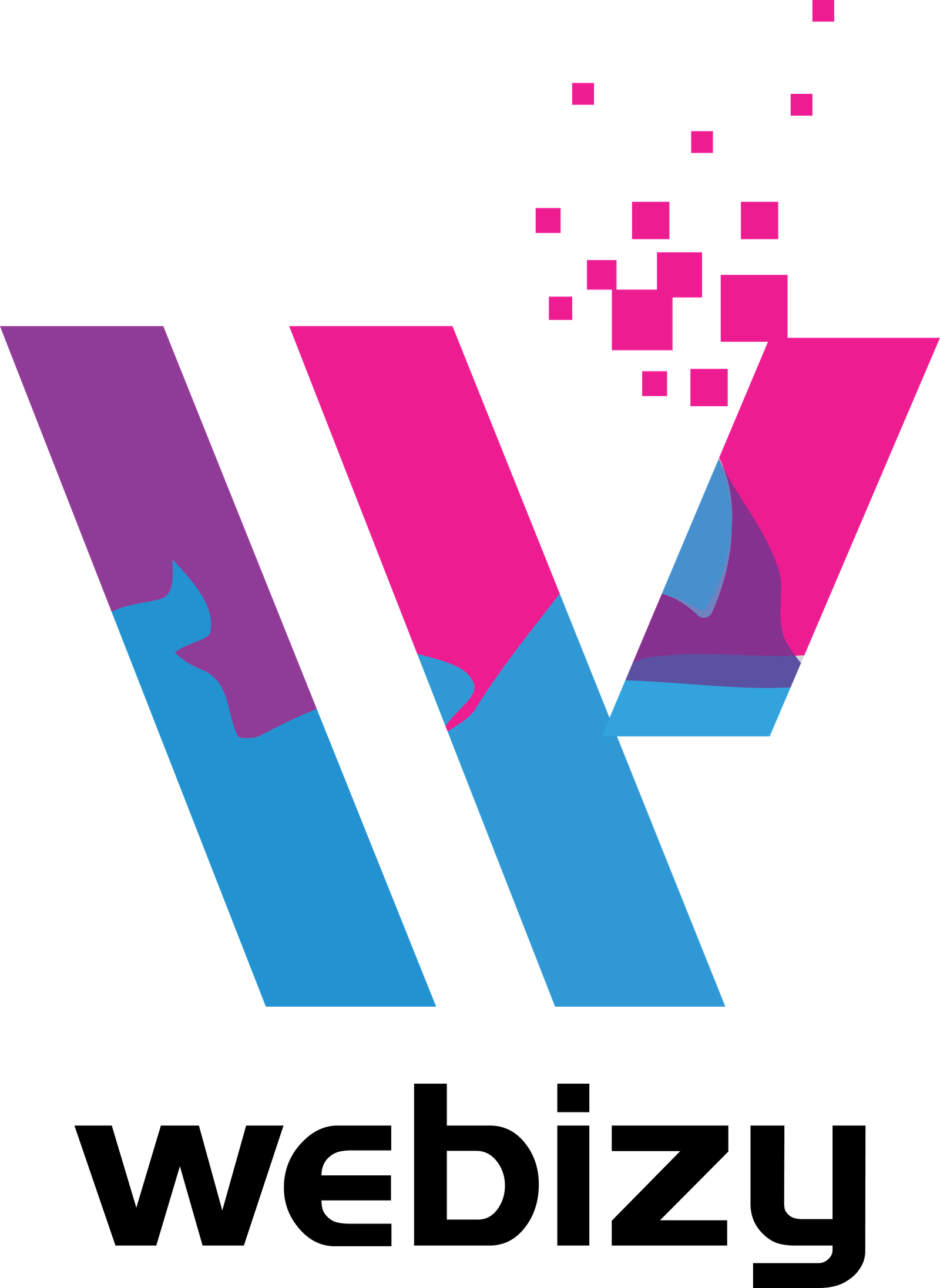 webizy-code-logo
